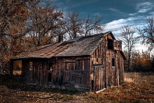 Barn in woods