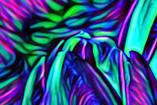 Abstract Green Purple Background Dark Steam Of Psychedelic Art High-Res  Stock Photo - Getty Images